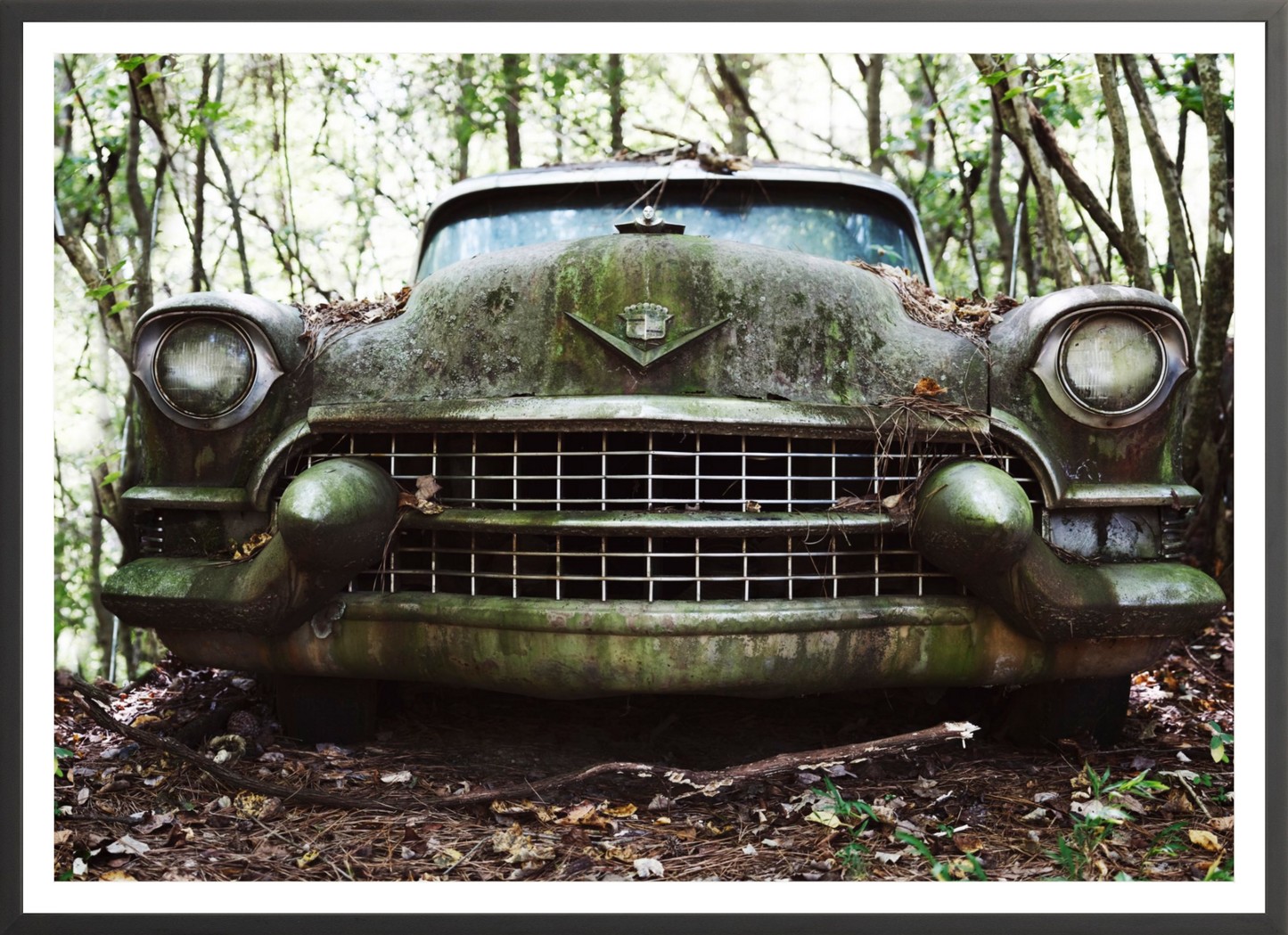 Cadillac Grille