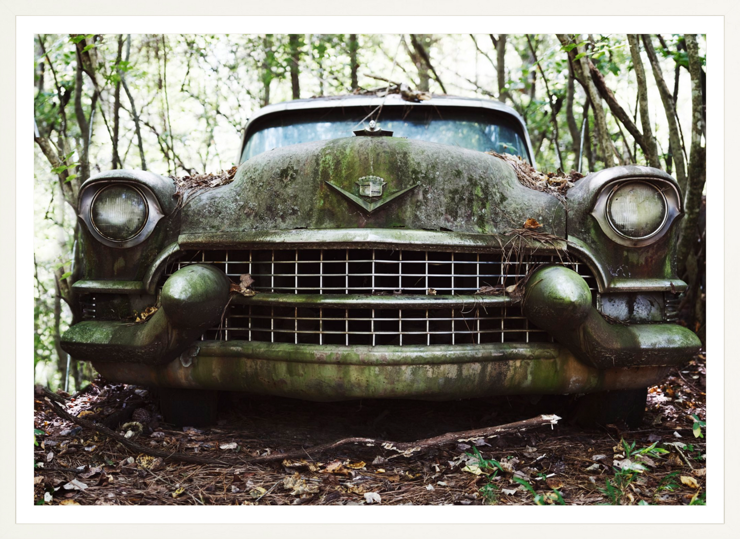 Cadillac Grille