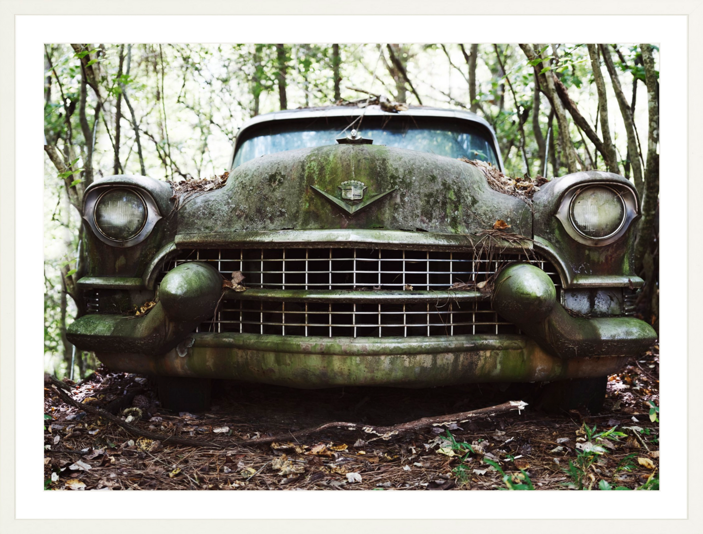 Cadillac Grille