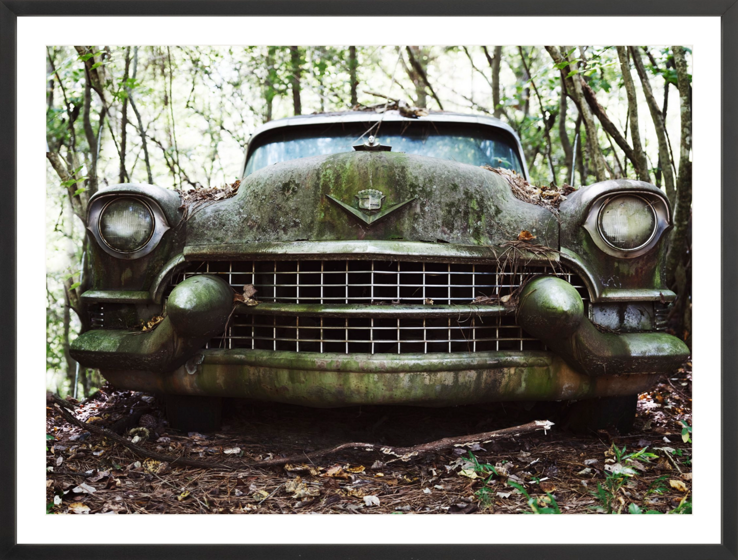 Cadillac Grille