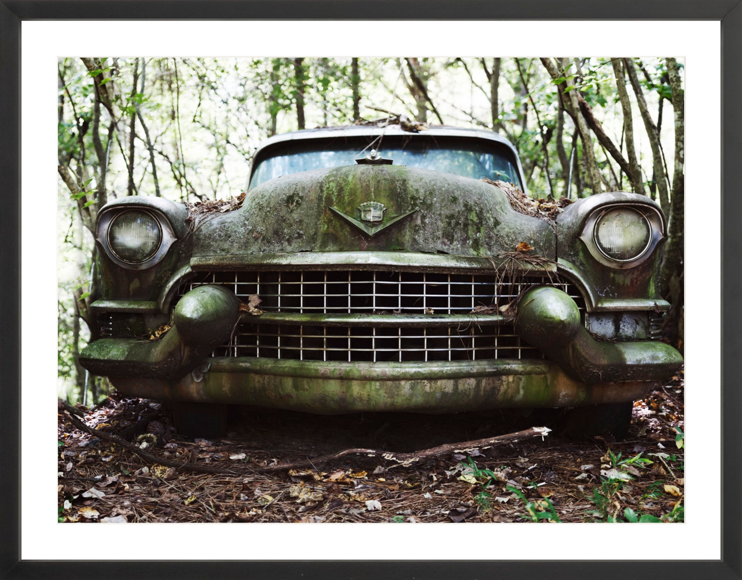 Cadillac Grille