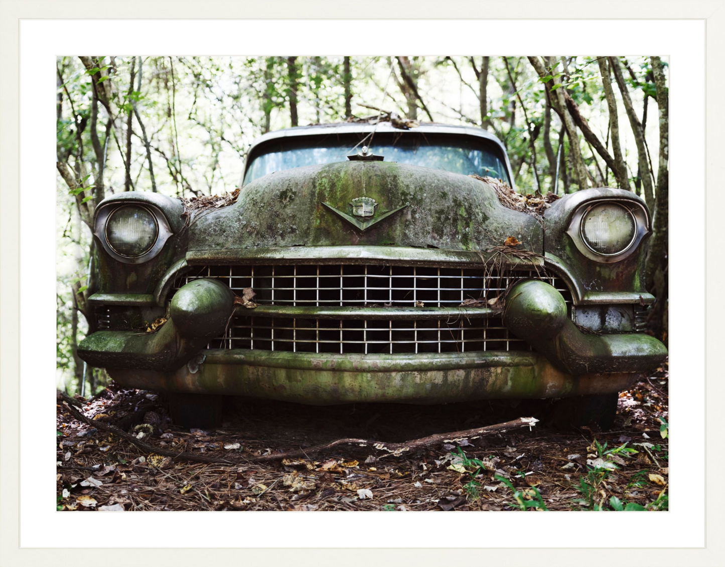 Cadillac Grille