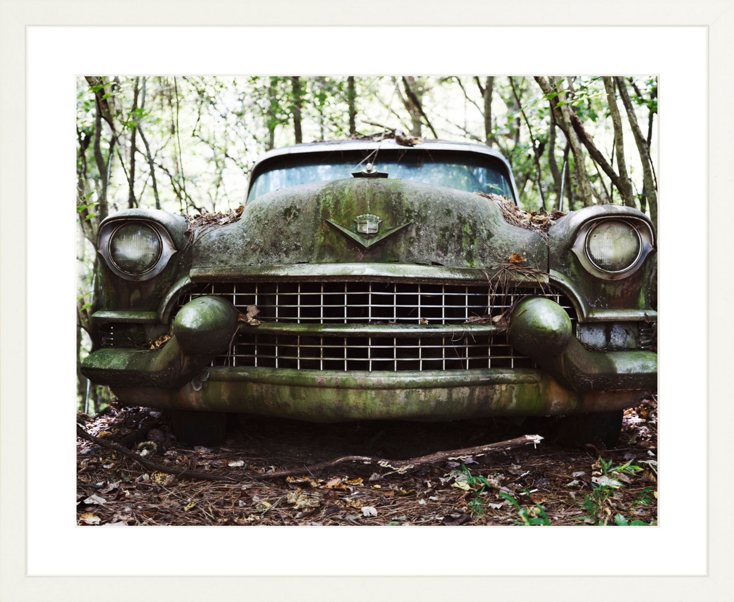 Cadillac Grille