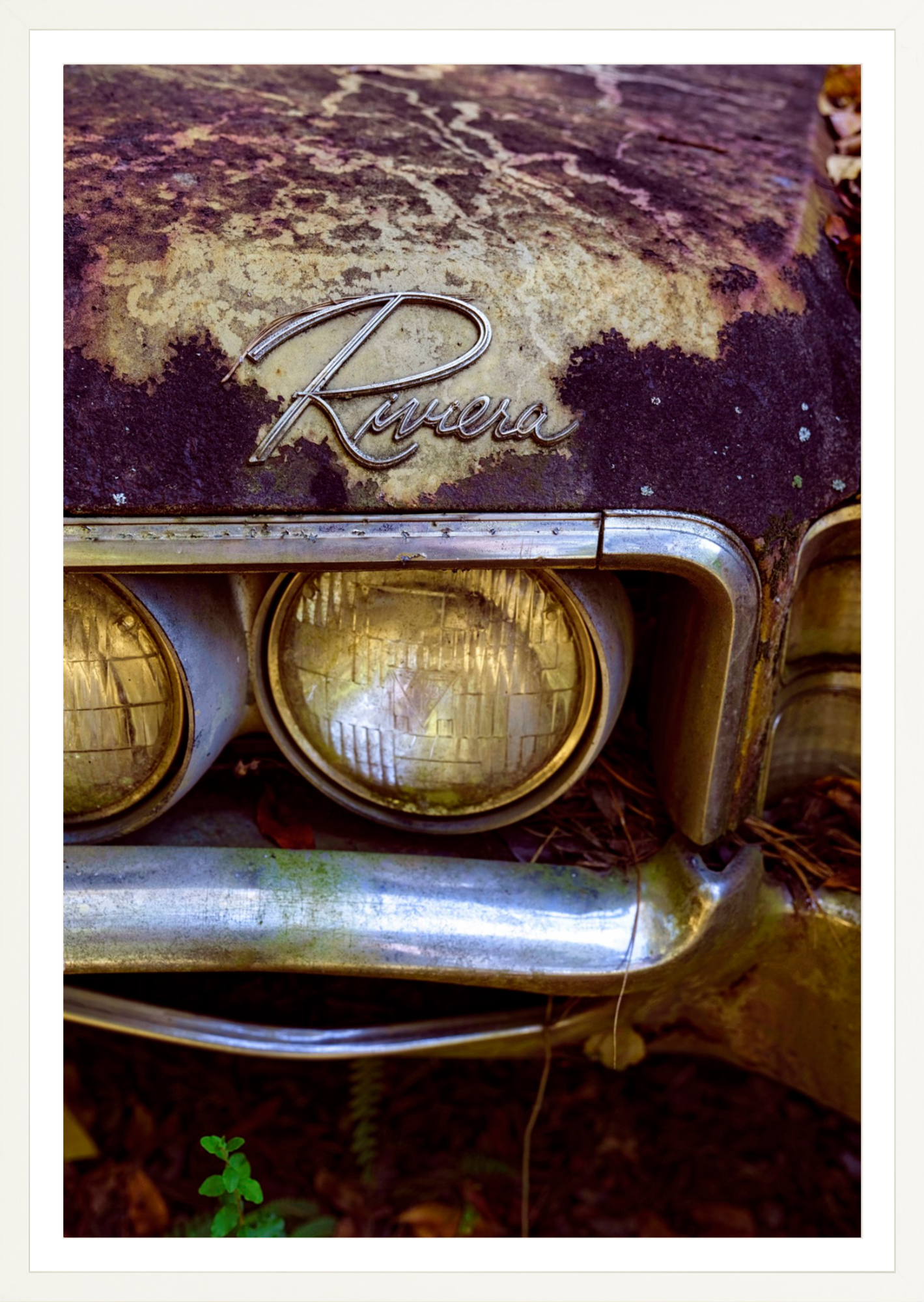 Riviera