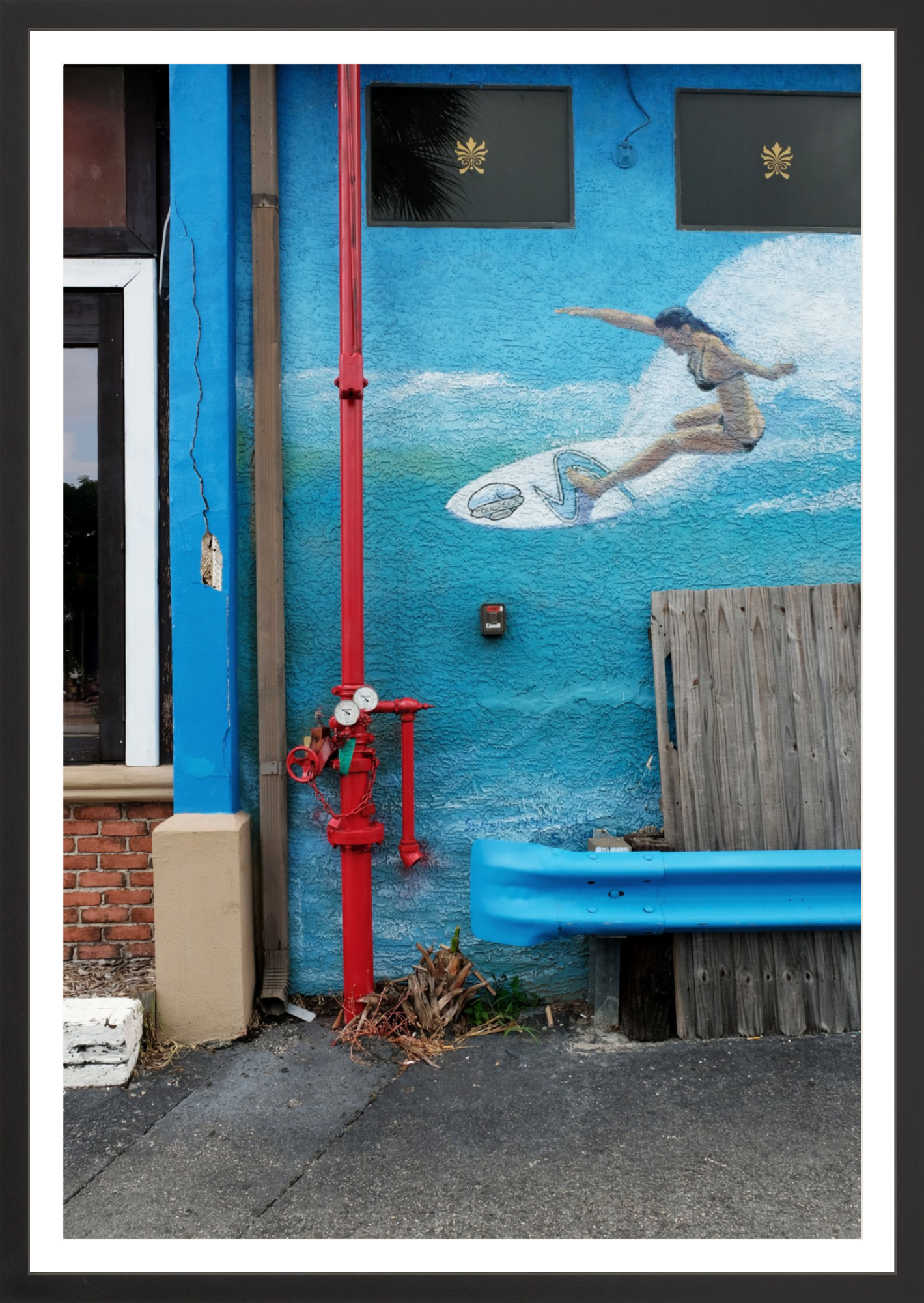 Surfrider