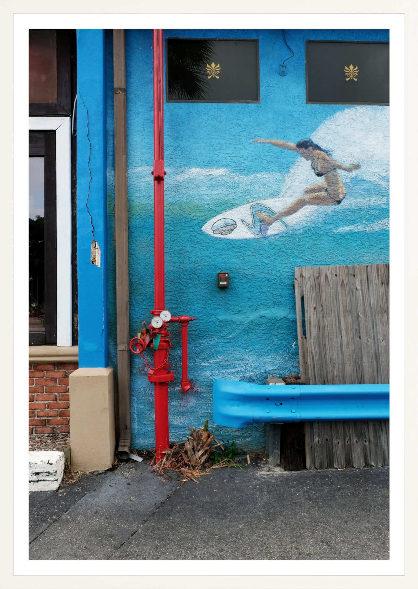 Surfrider