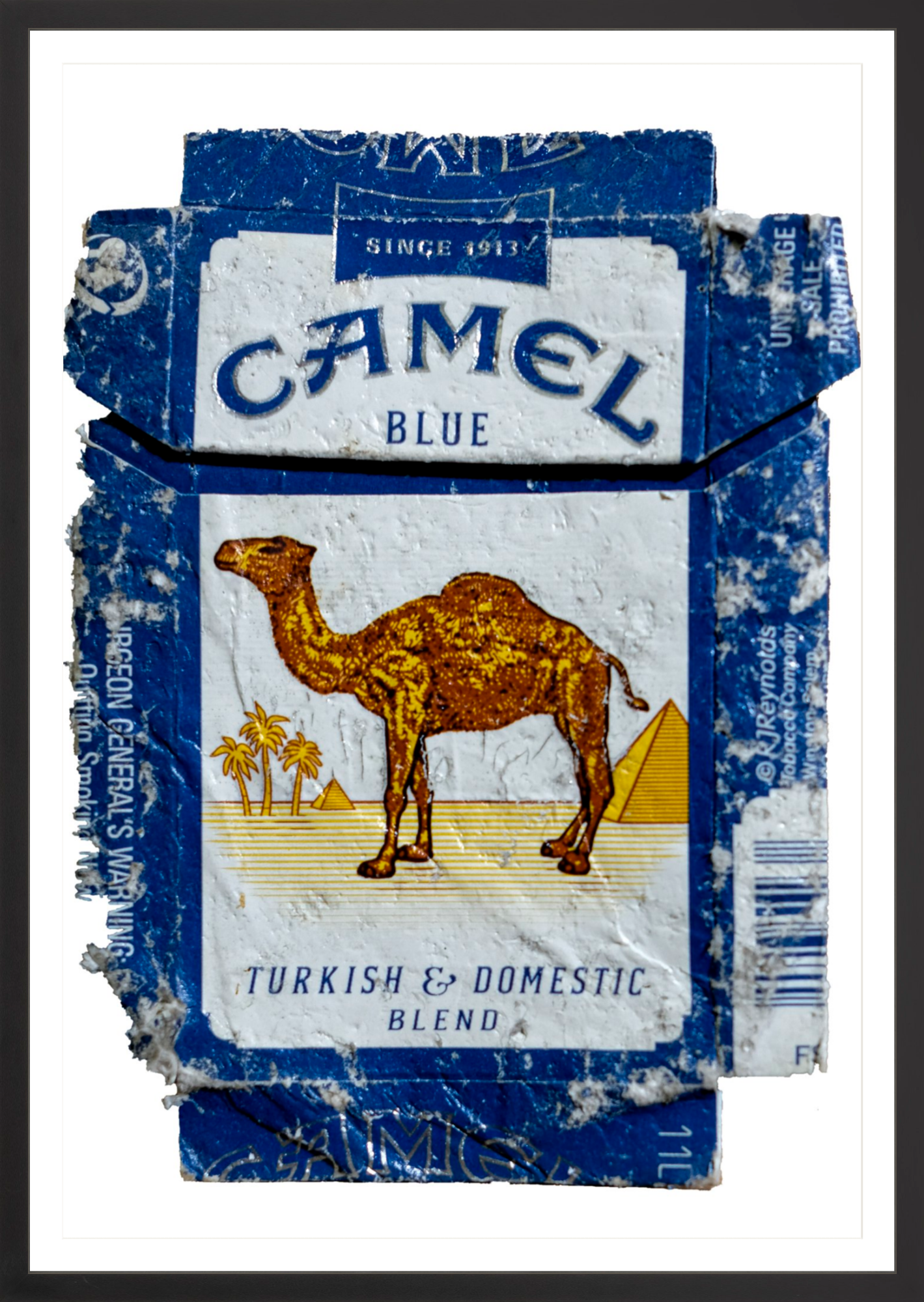 Camel