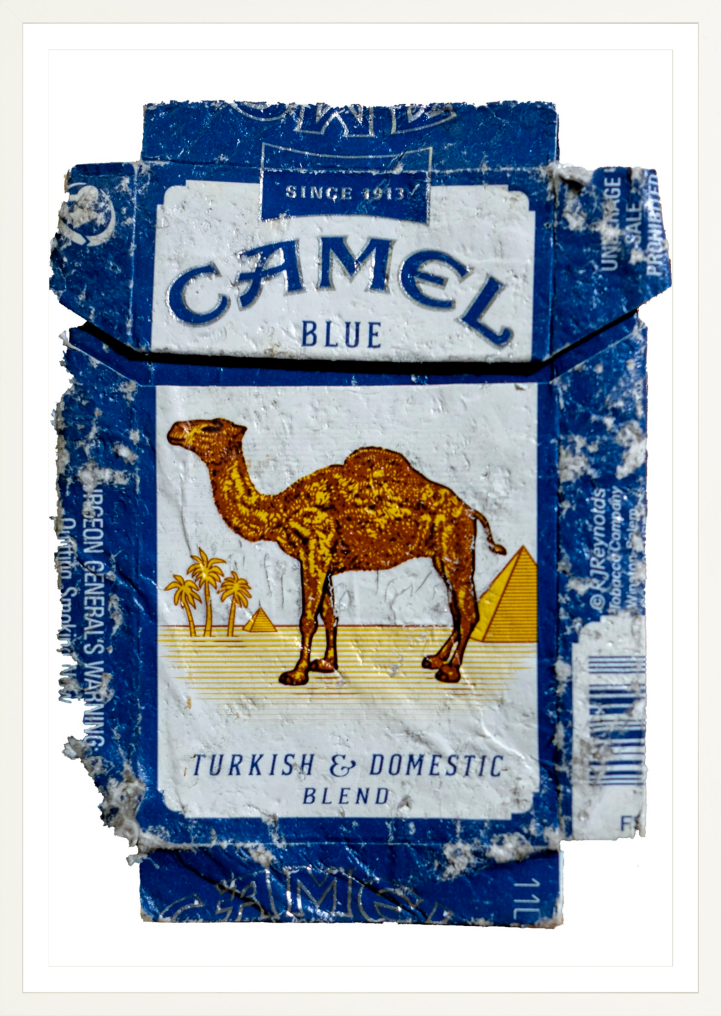 Camel