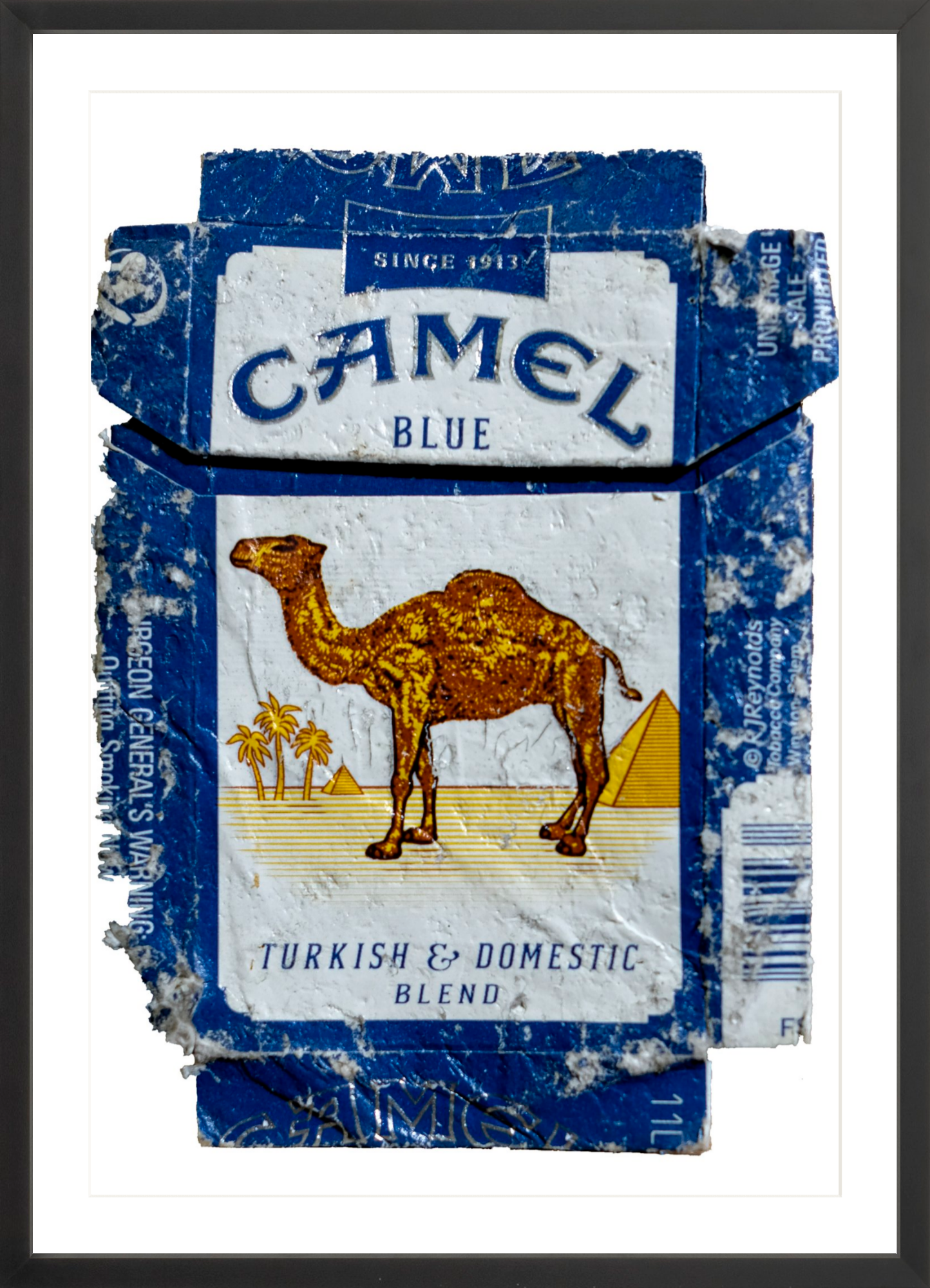 Camel