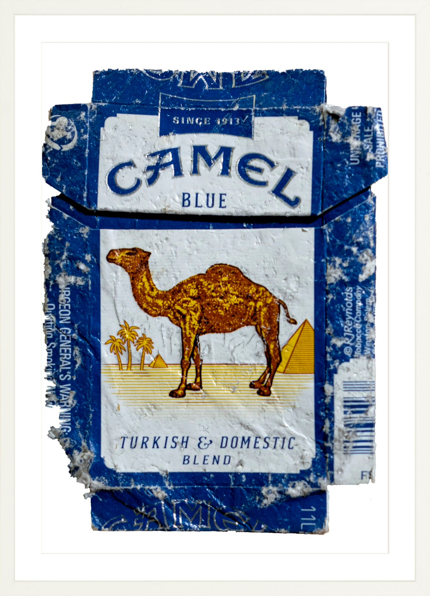 Camel