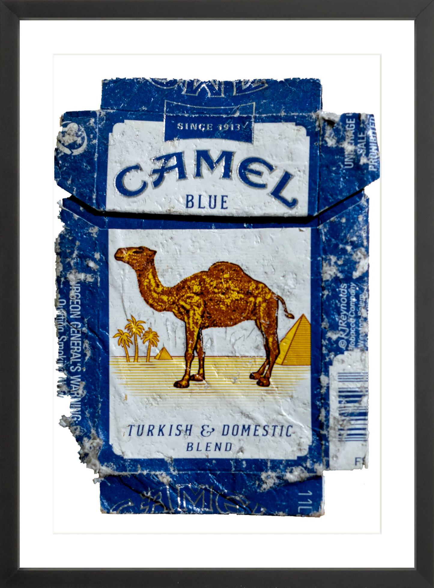 Camel