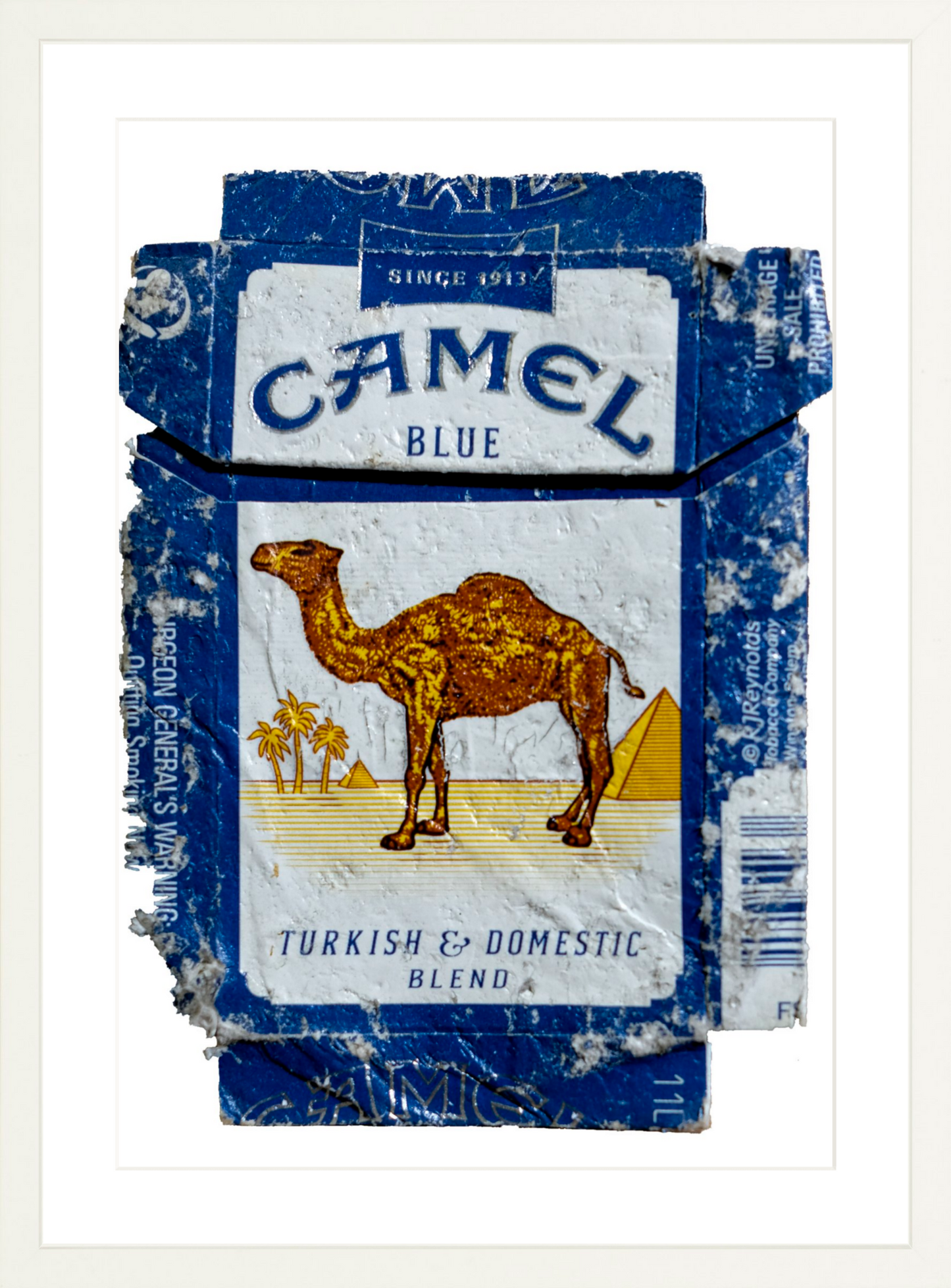 Camel