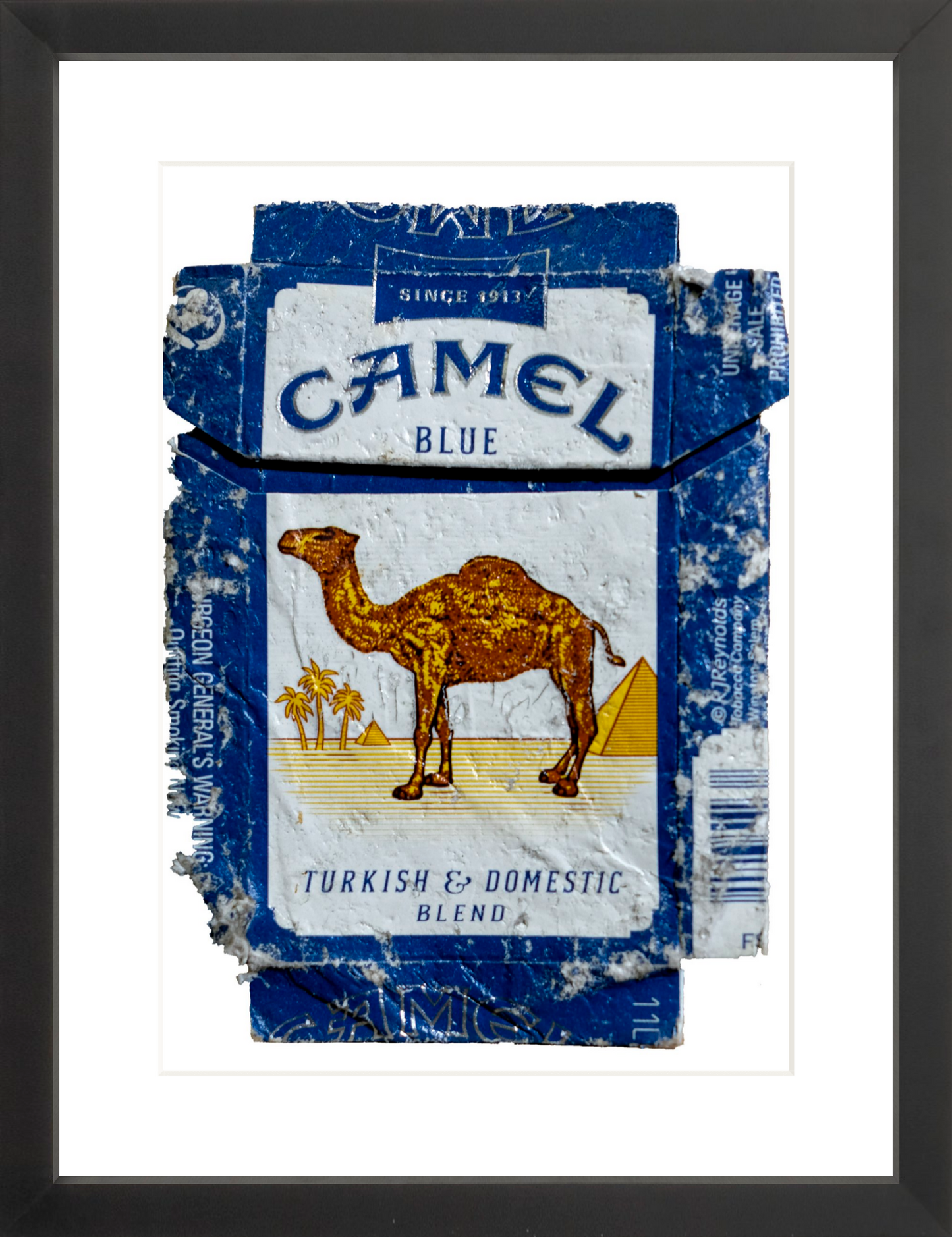 Camel