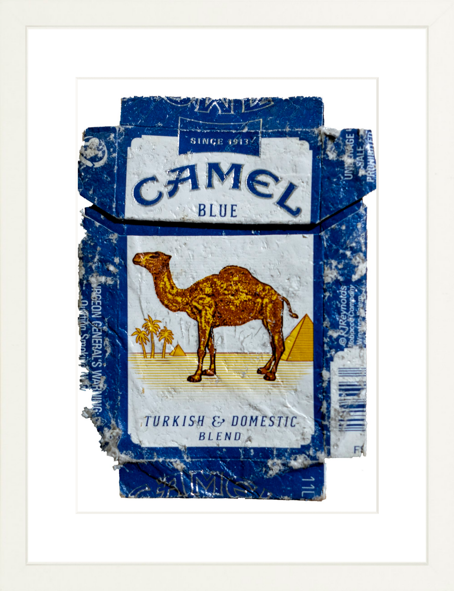 Camel