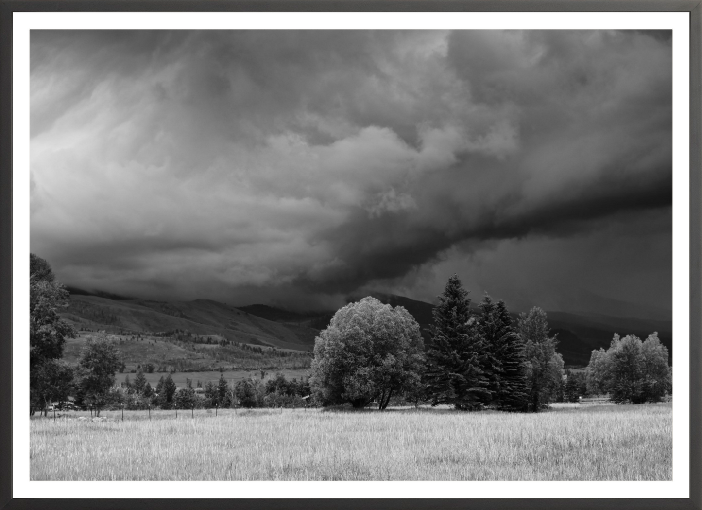 Montana Storm 3