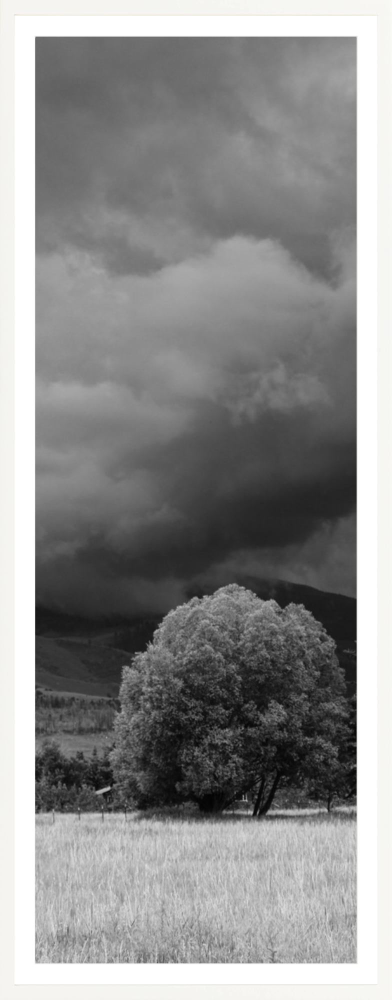 Montana Storm 3