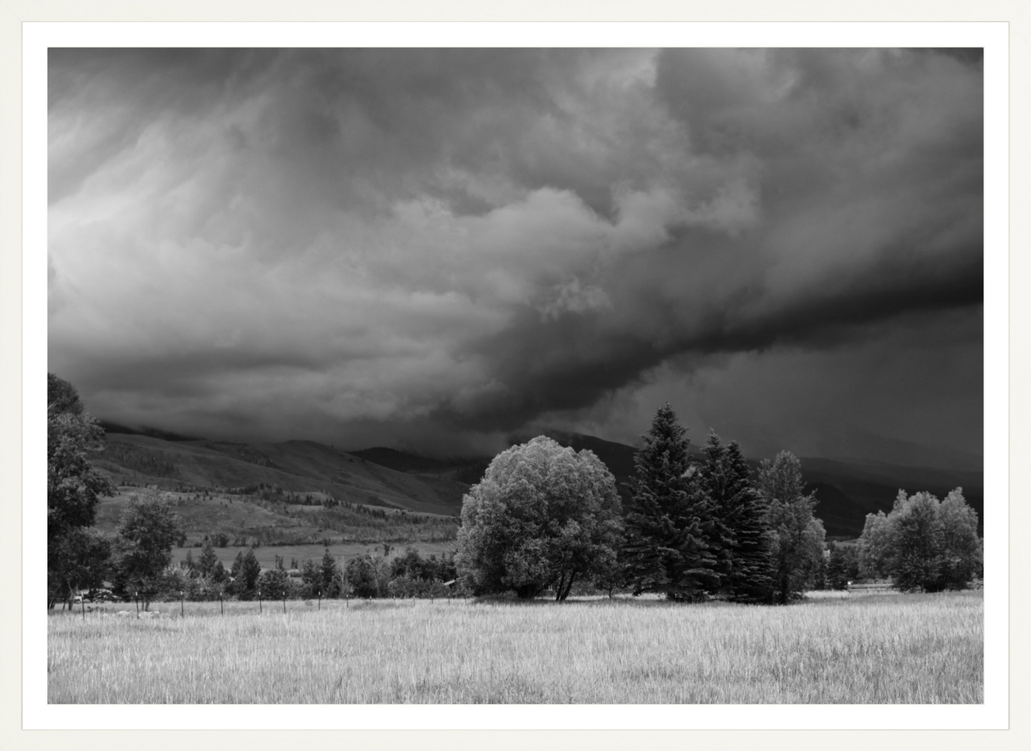 Montana Storm 3