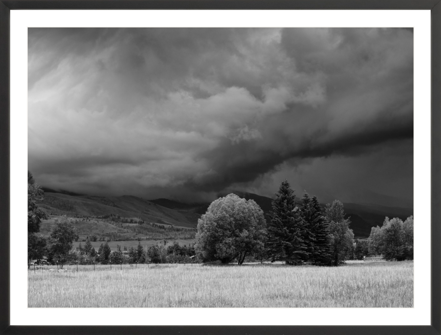 Montana Storm 3