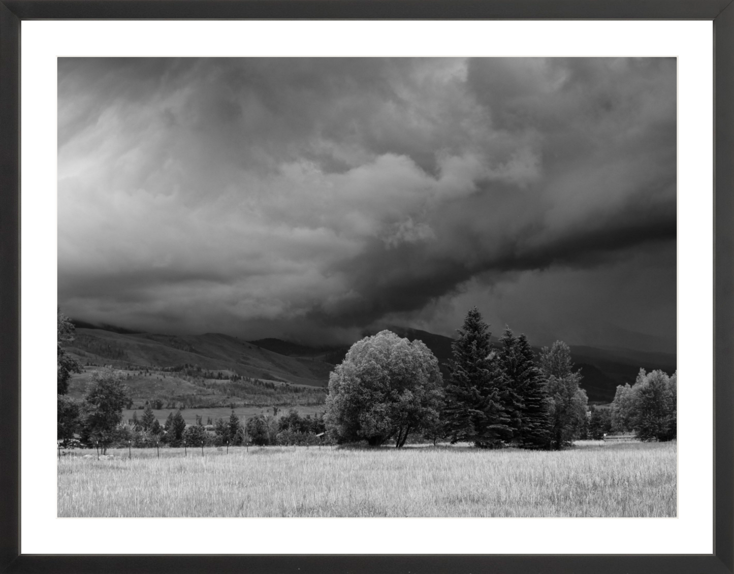 Montana Storm 3