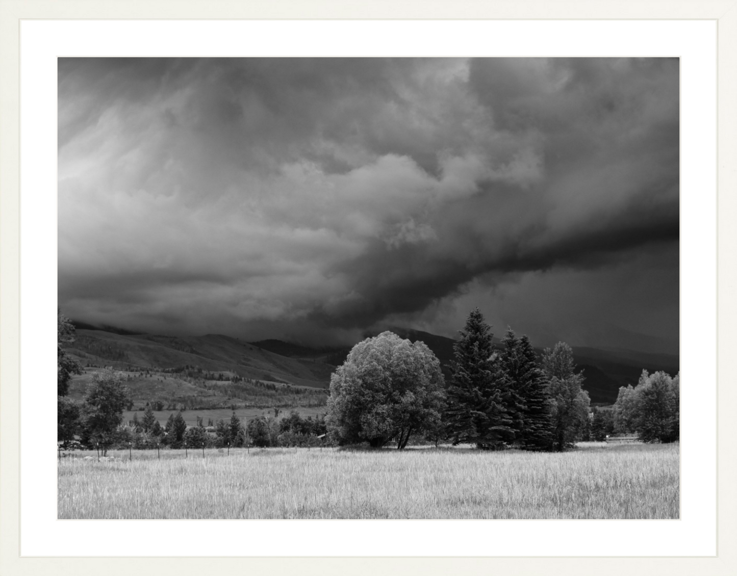 Montana Storm 3