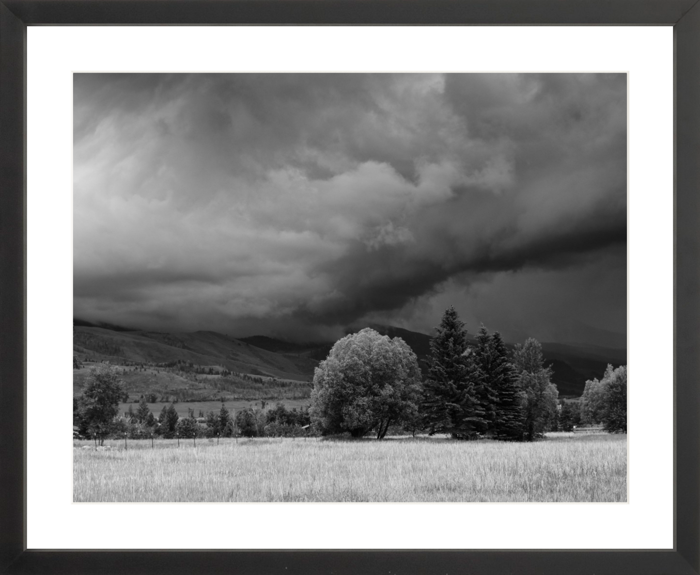 Montana Storm 3