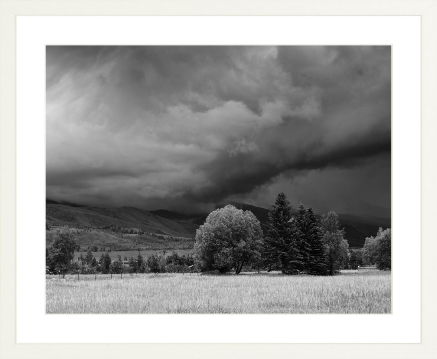 Montana Storm 3