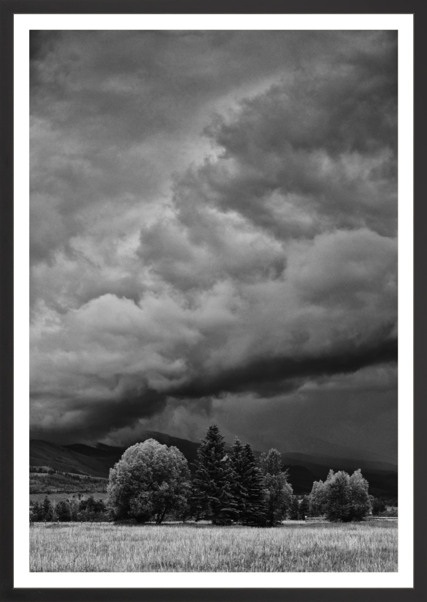 Montana Storm 1