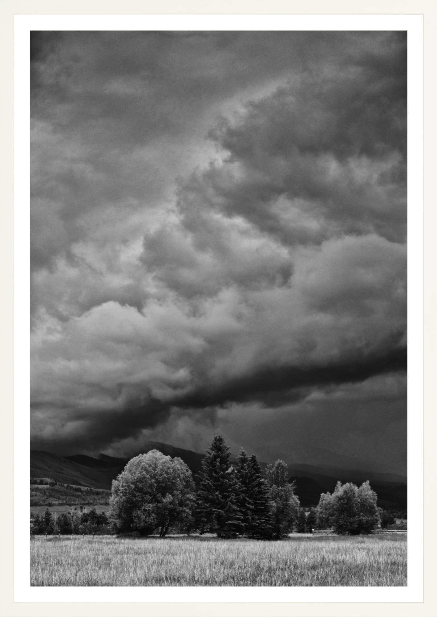 Montana Storm 1