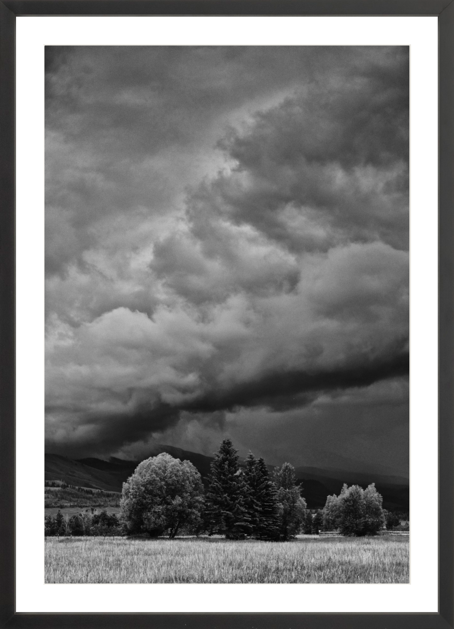 Montana Storm 1