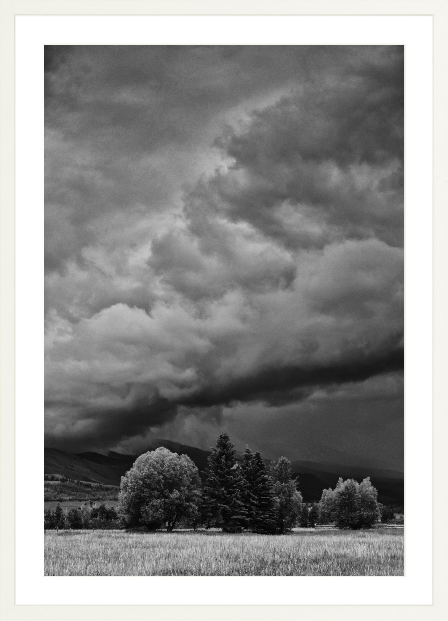 Montana Storm 1