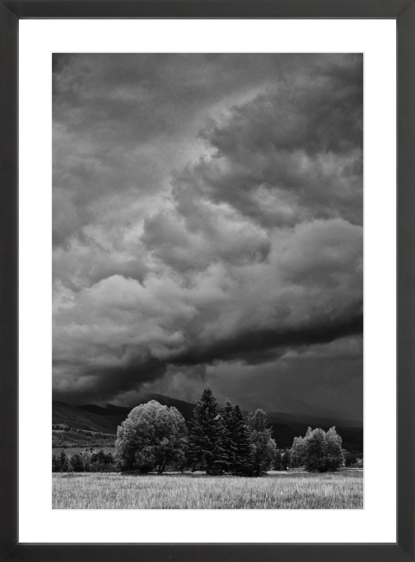 Montana Storm 1
