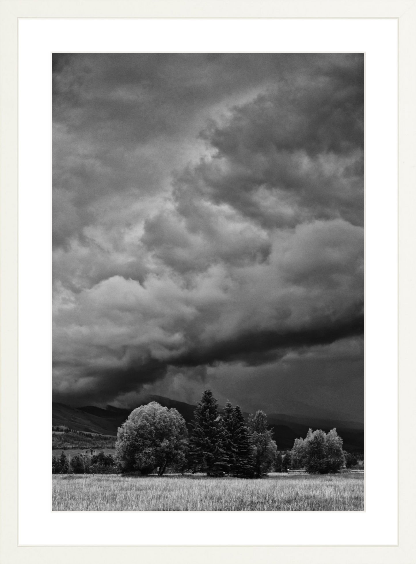Montana Storm 1