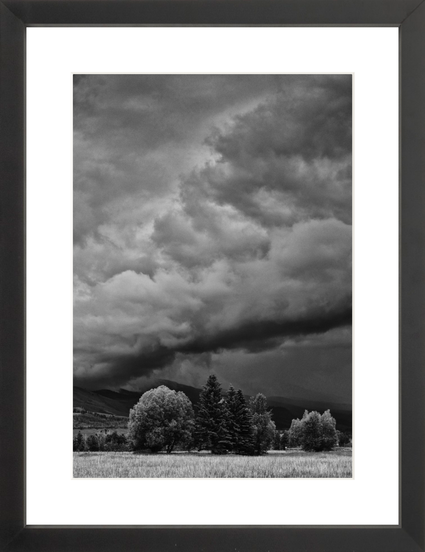 Montana Storm 1