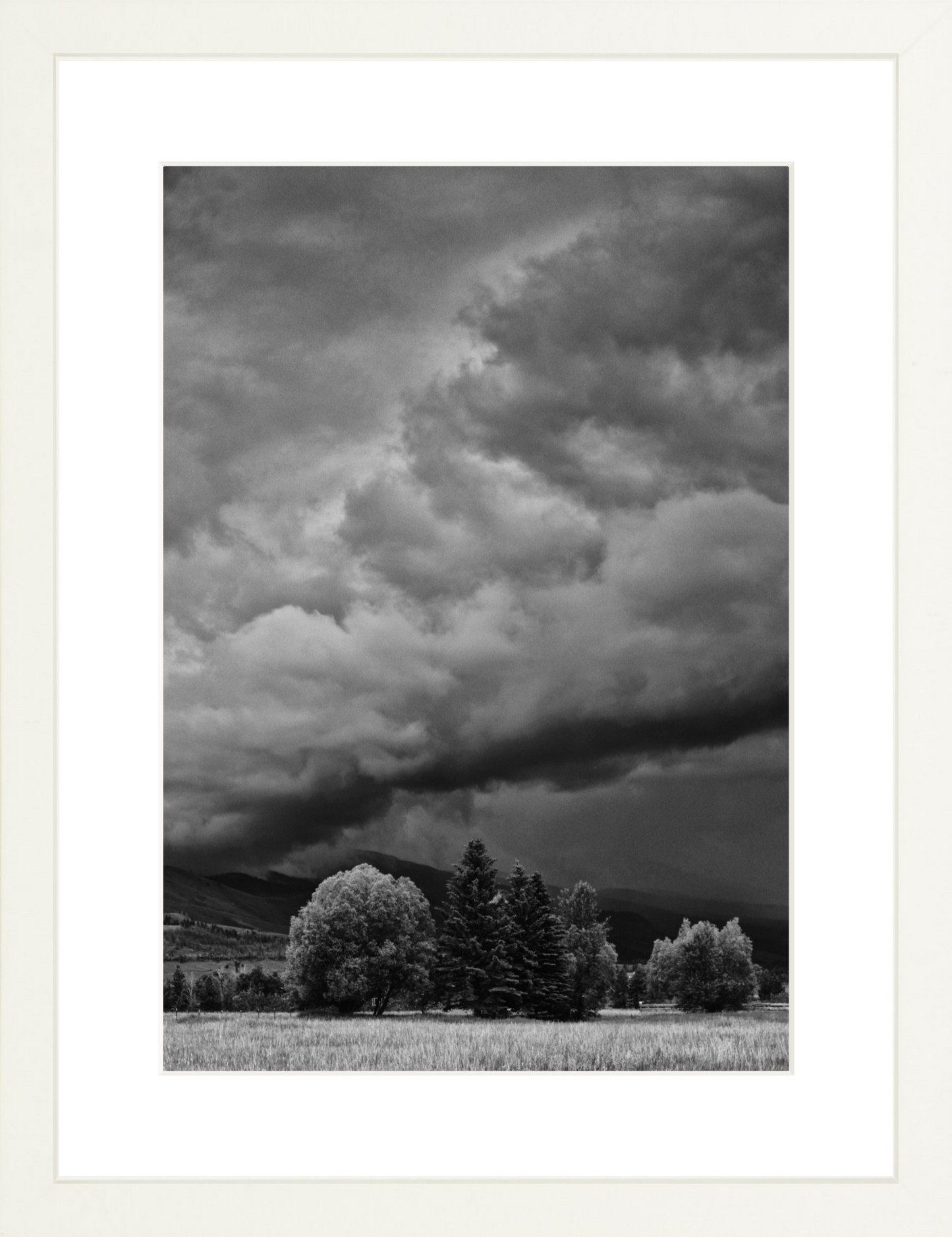 Montana Storm 1