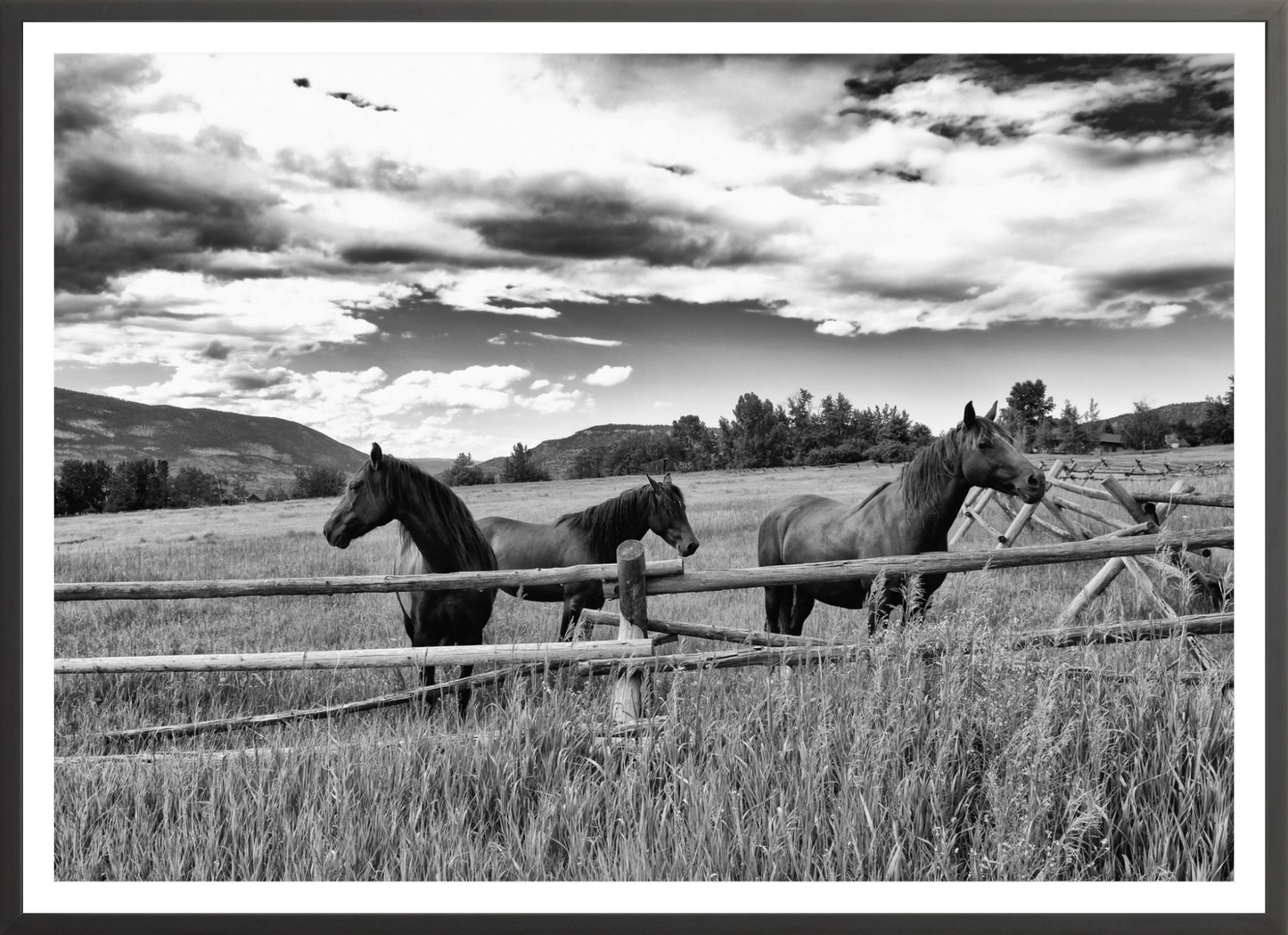 Three Sisters