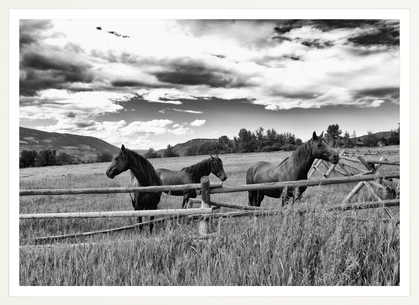 Three Sisters