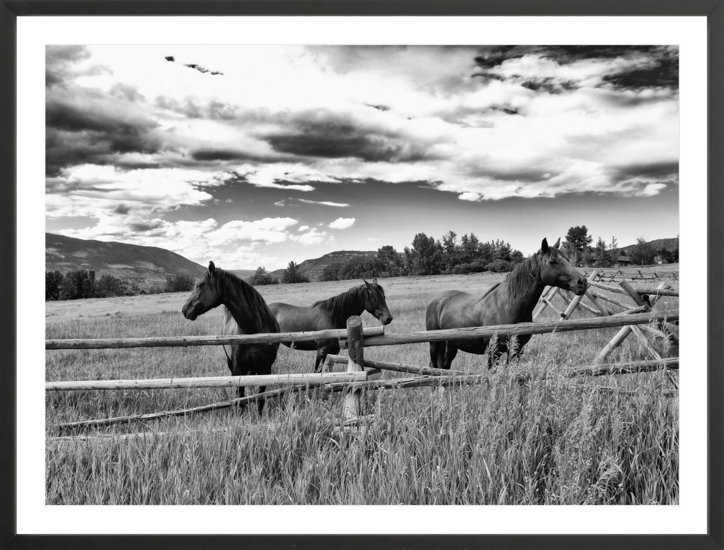 Three Sisters