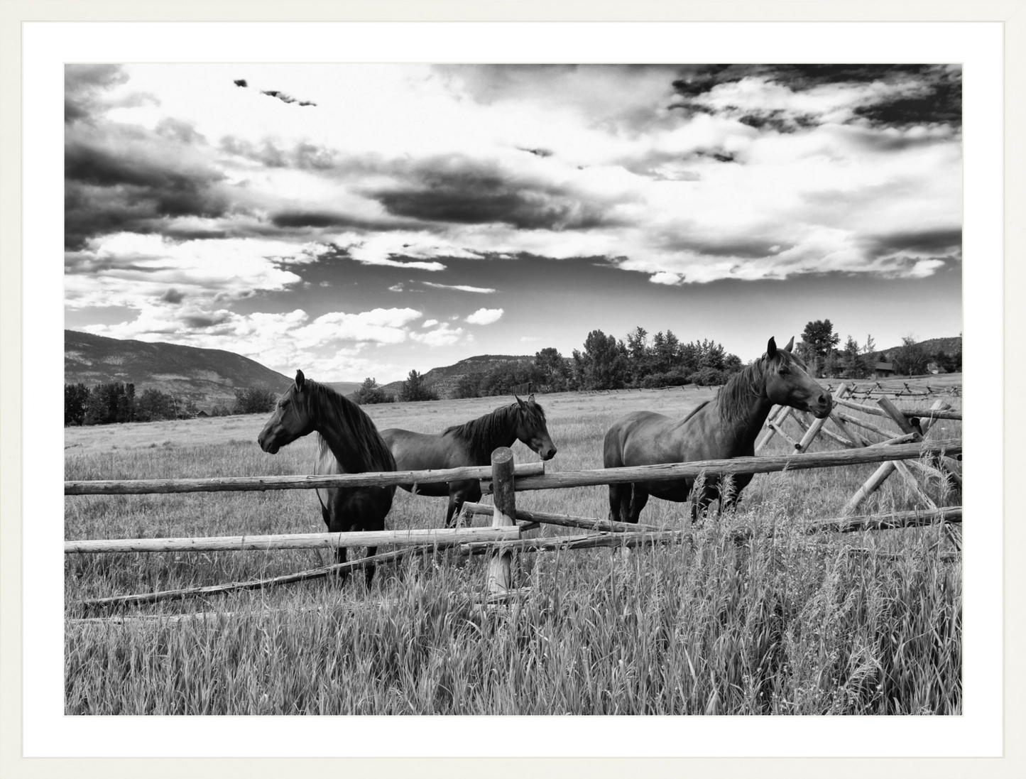 Three Sisters