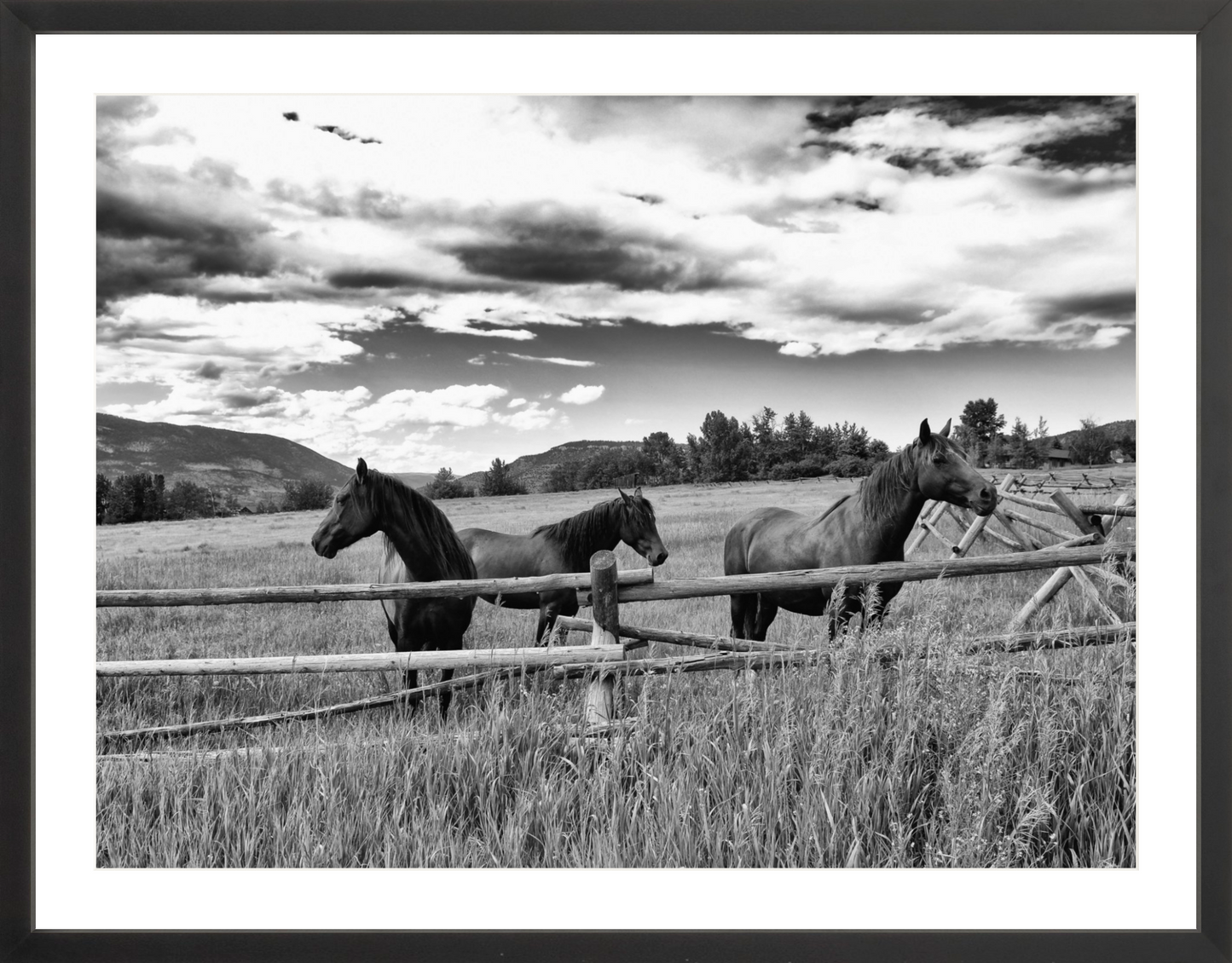 Three Sisters
