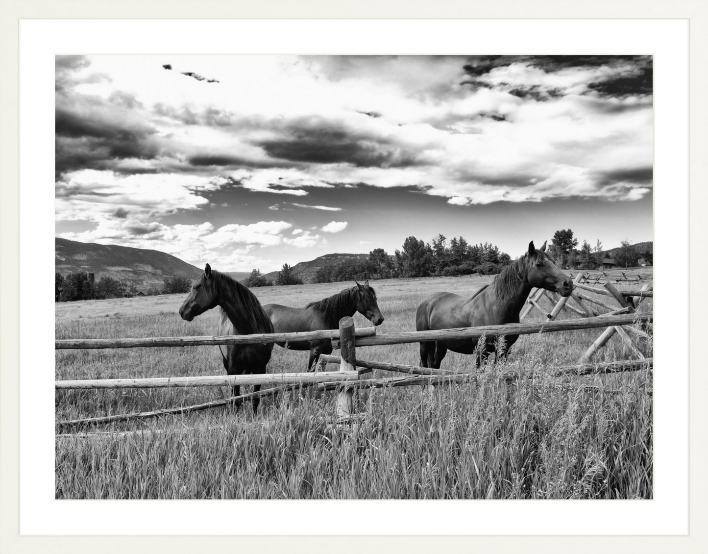 Three Sisters