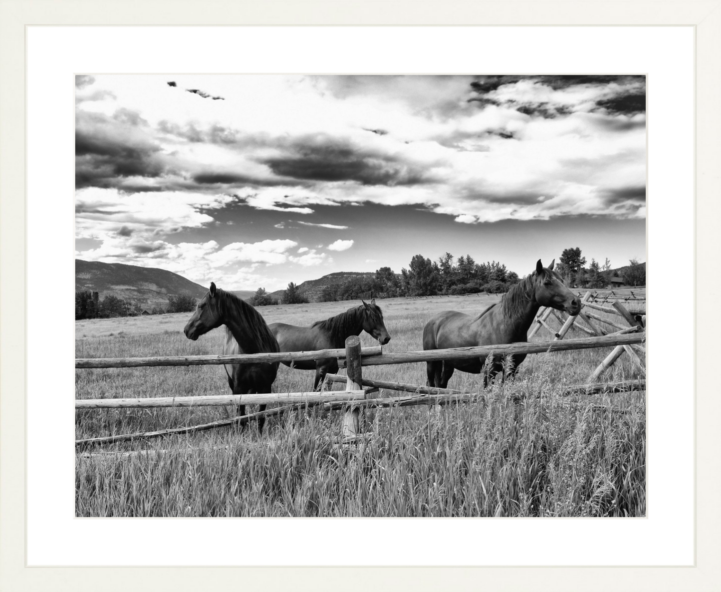 Three Sisters