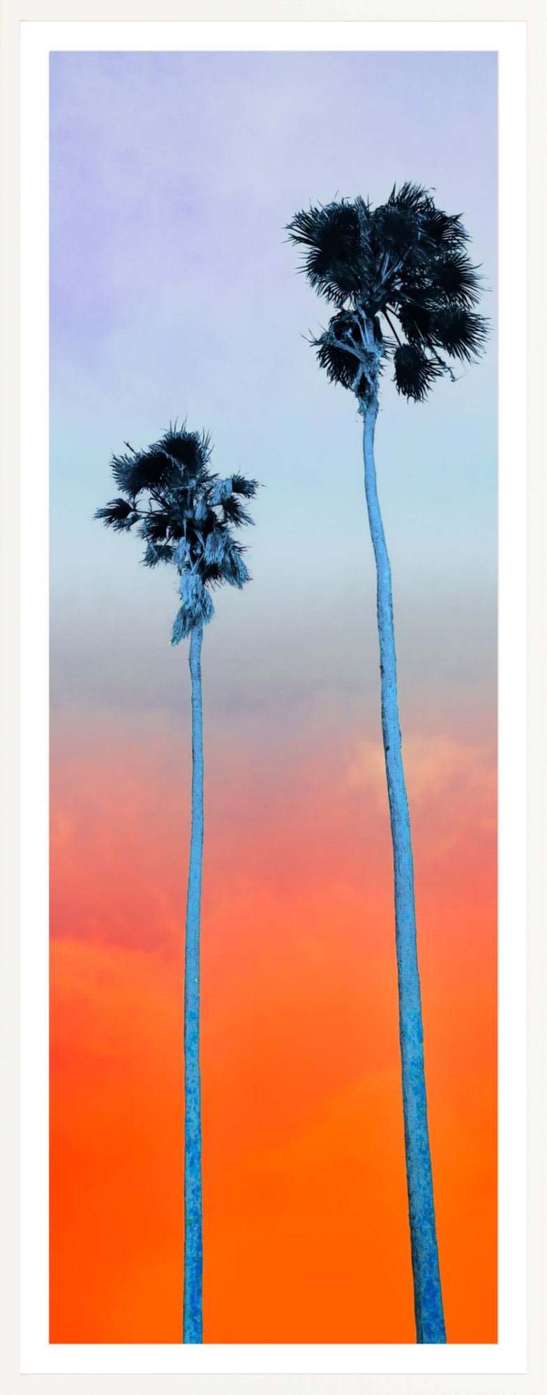 Palm Pair Orange