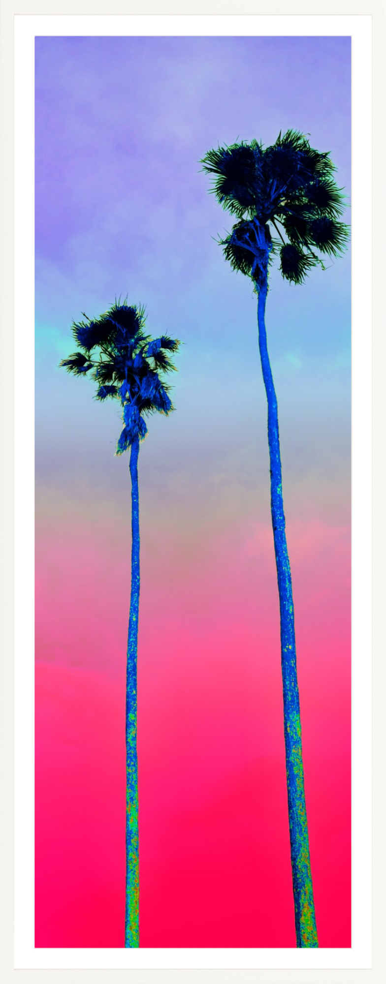 Palm Pair Pink