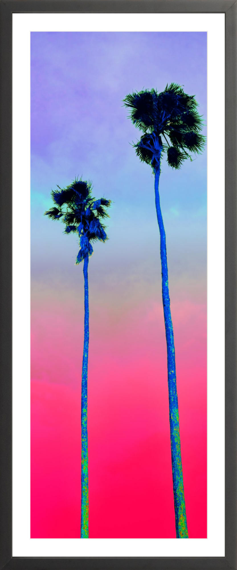Palm Pair Pink