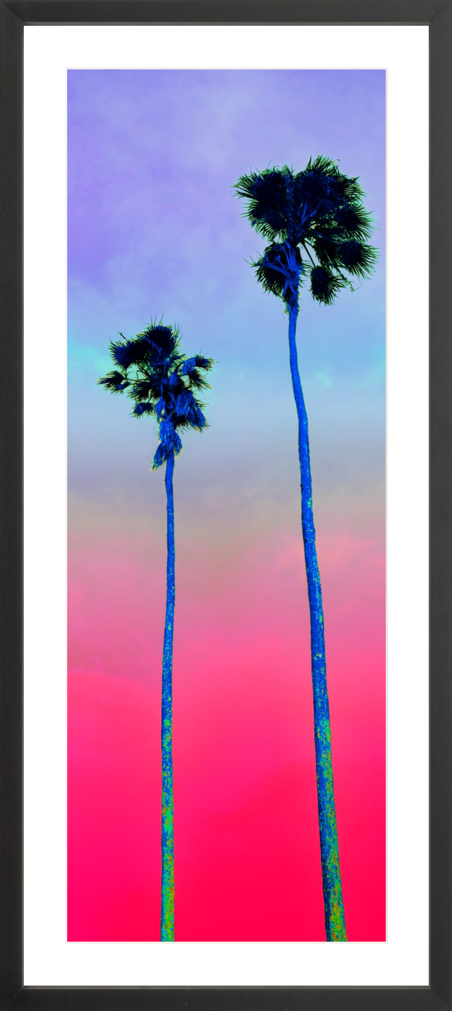Palm Pair Pink