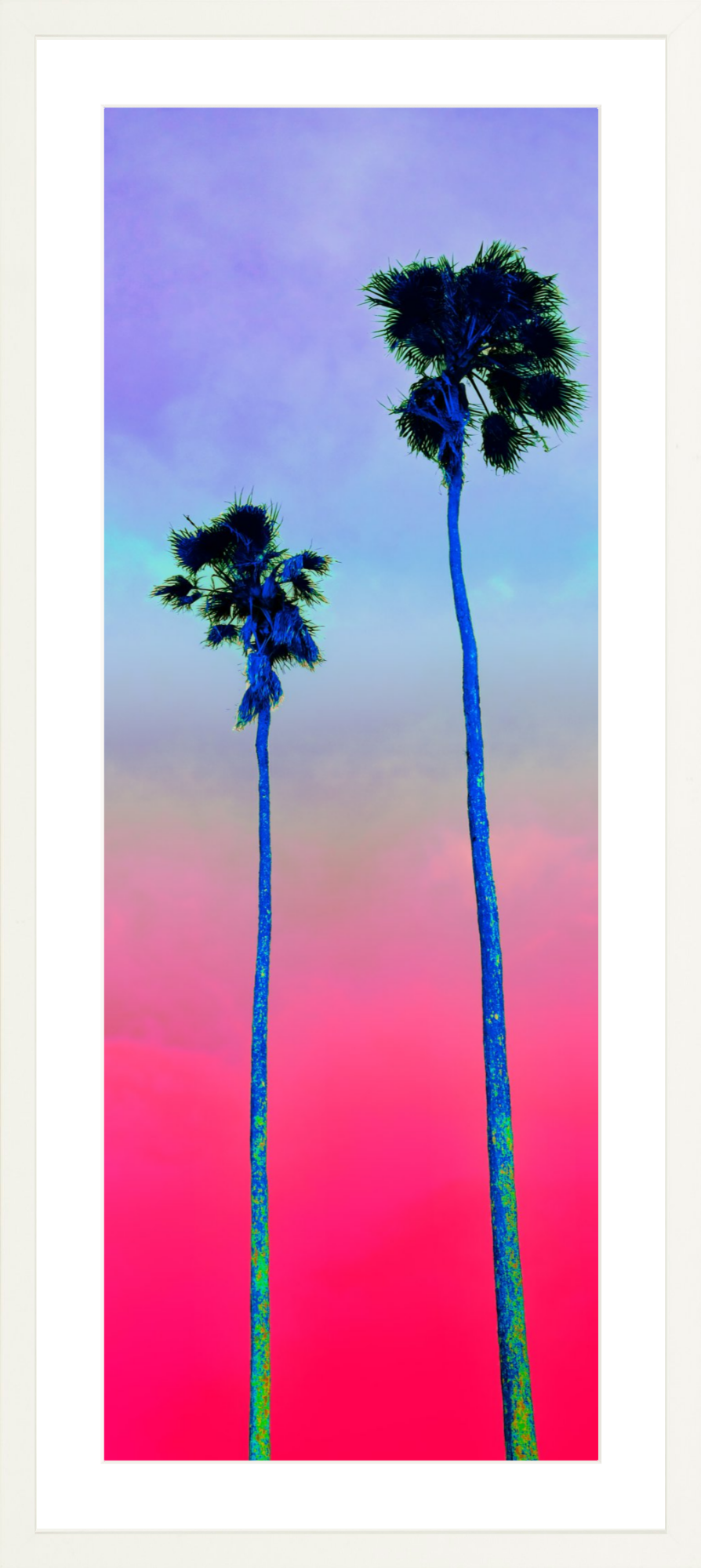 Palm Pair Pink