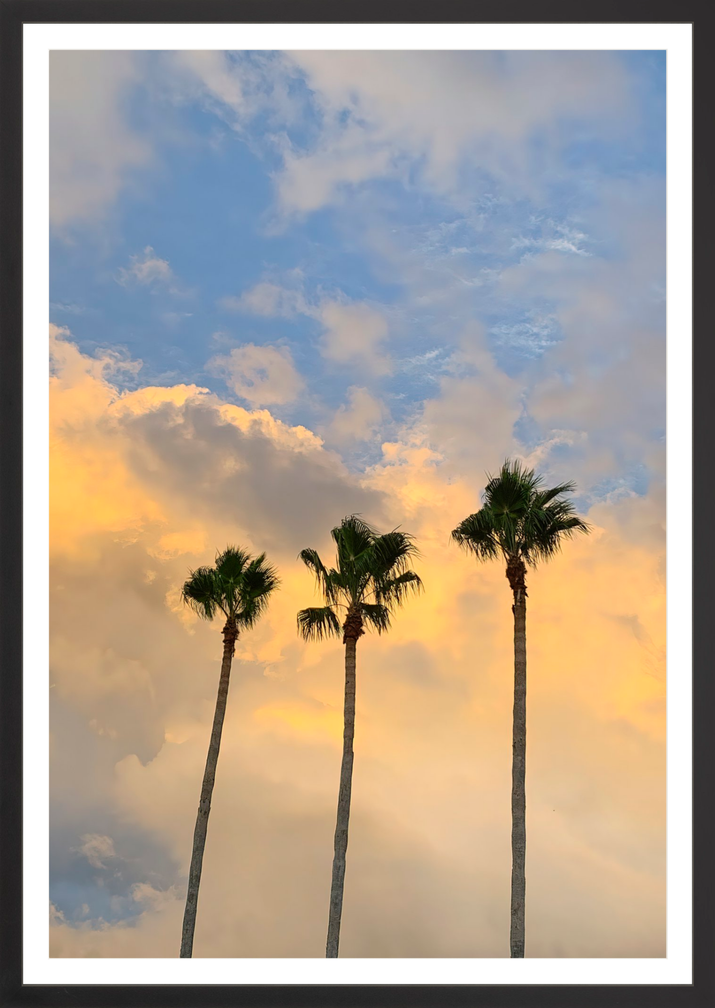 Pastel Palms