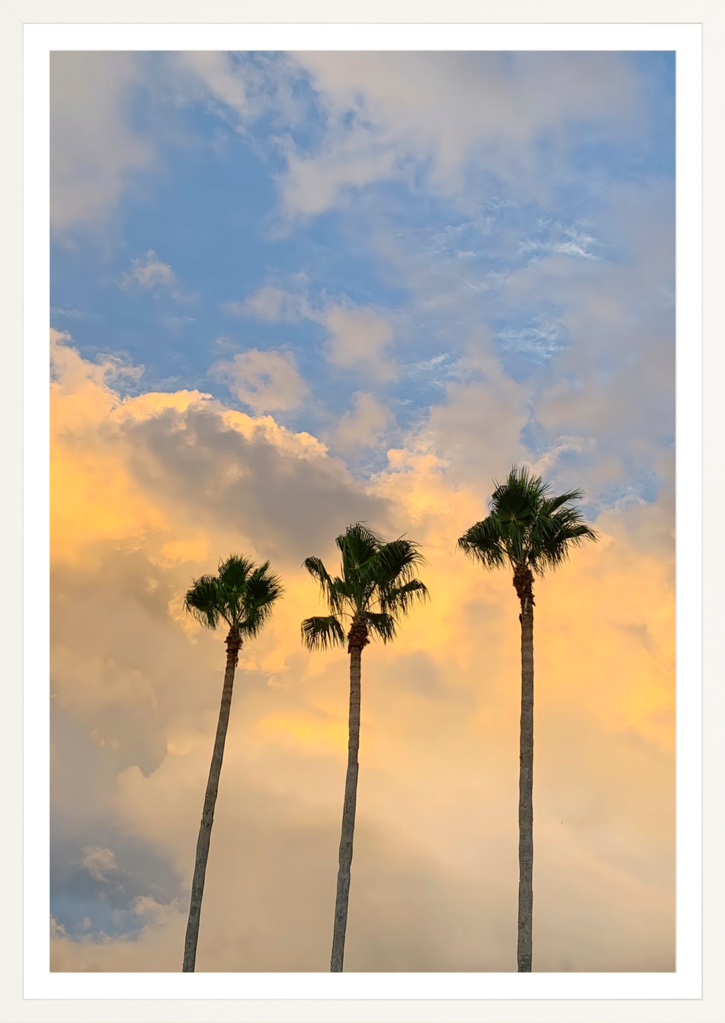 Pastel Palms