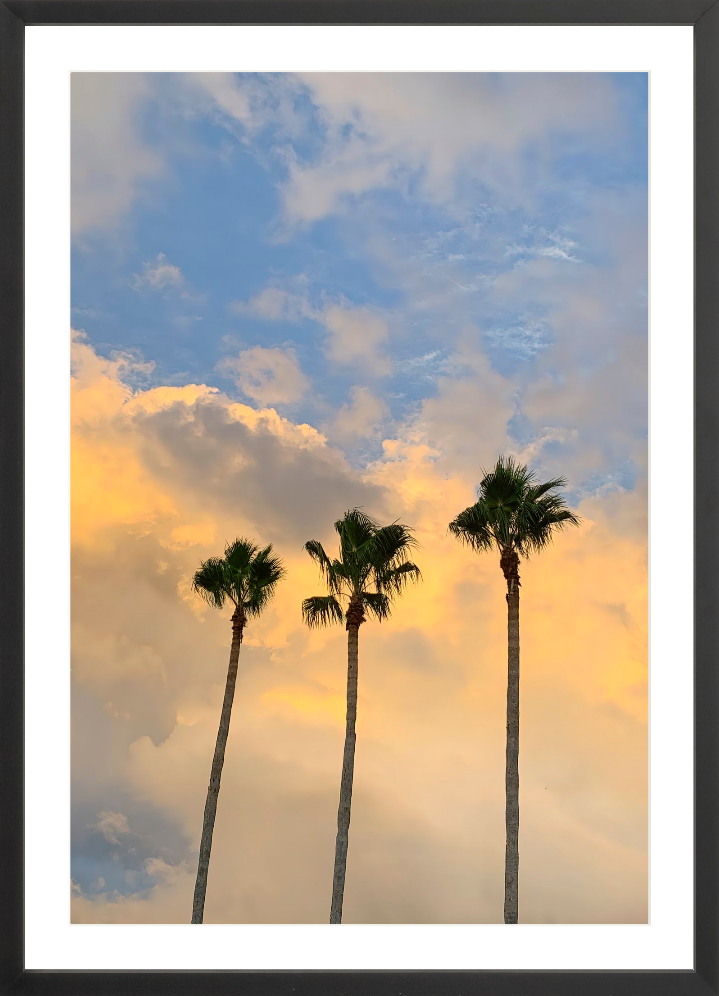 Pastel Palms