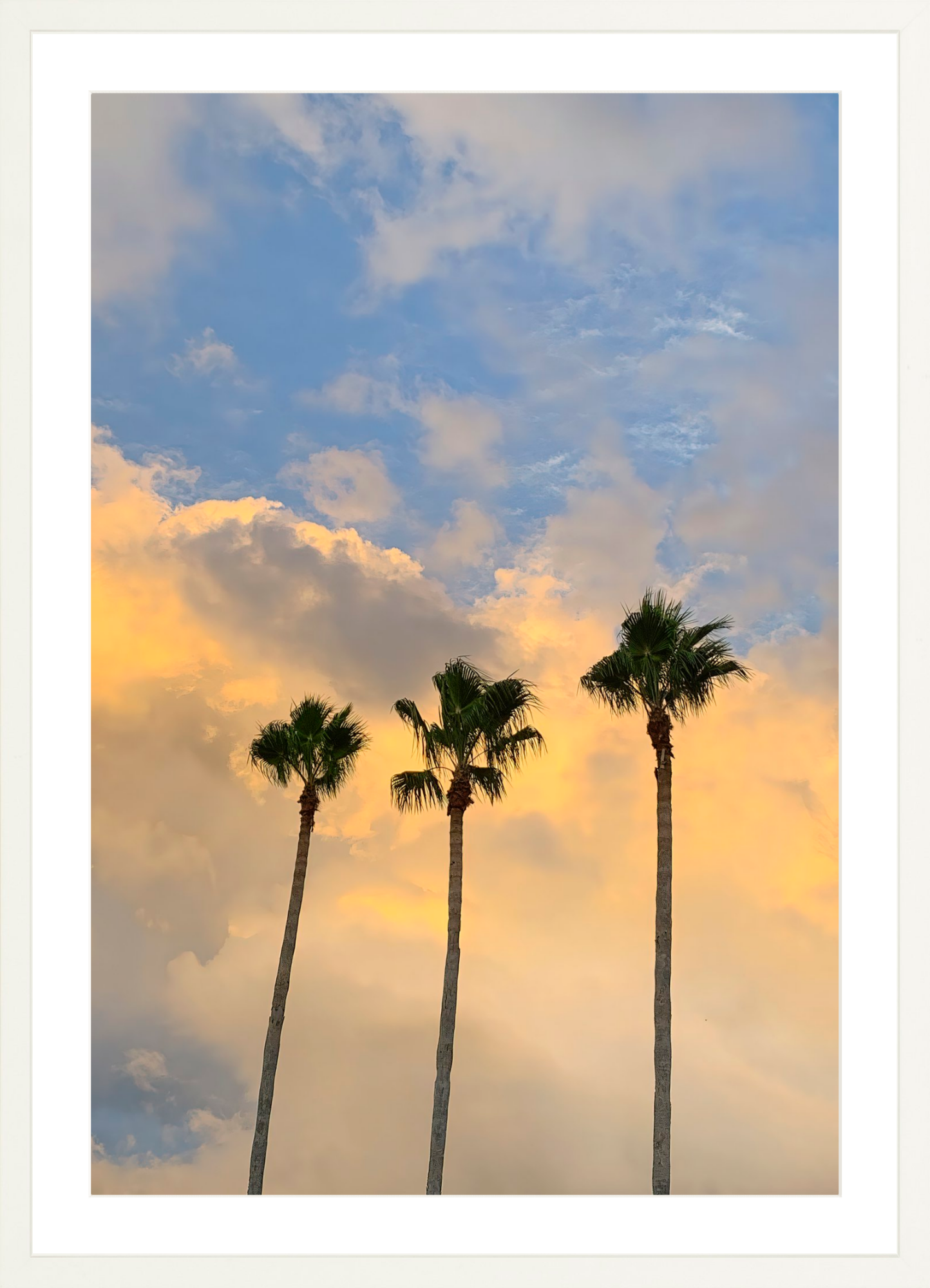 Pastel Palms